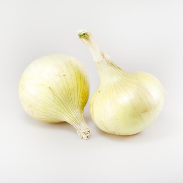 CEBOLA VERDE OU SECA