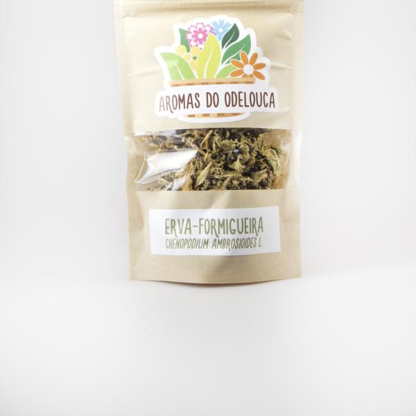 ERVA-FORMIGUEIRA