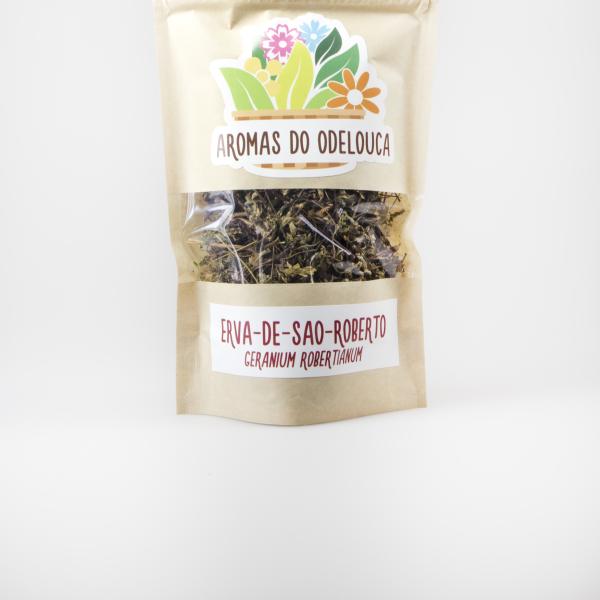 ERVA-DE-SAO-ROBERTO