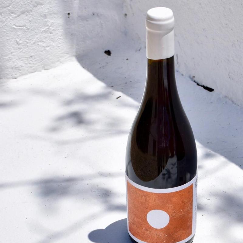 ânfora vermelha '21